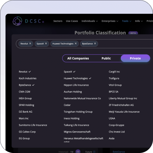 Portfolio classification preview